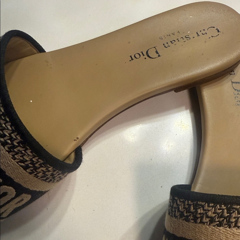 DIOR slide - Picture 11 of 14